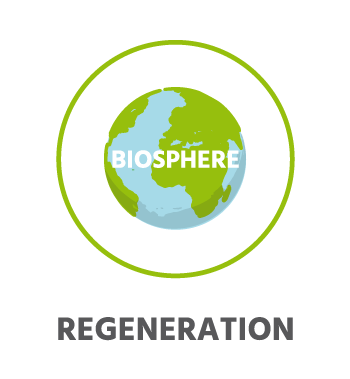 CircularLoops regenerate